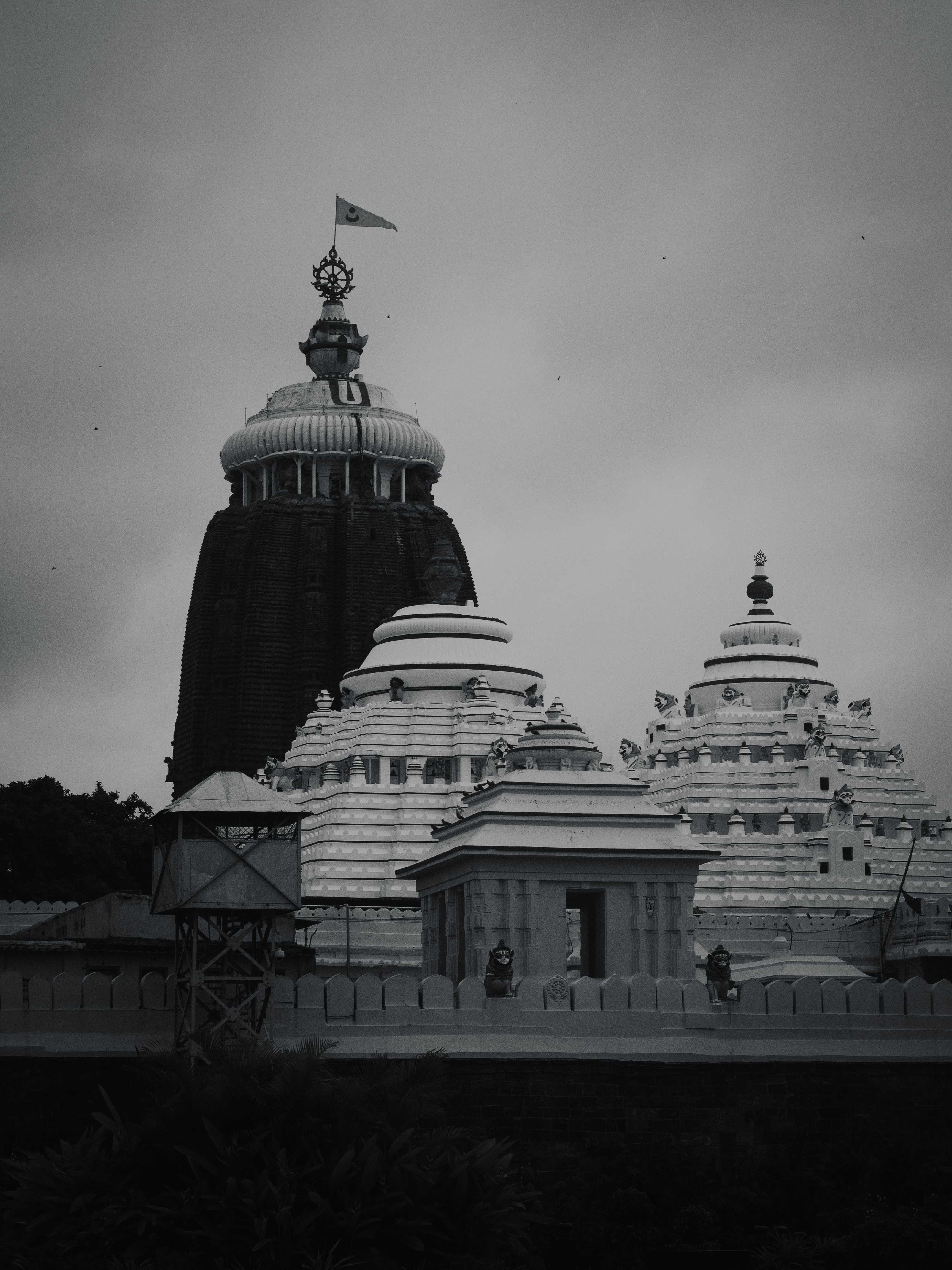 Puri Travels